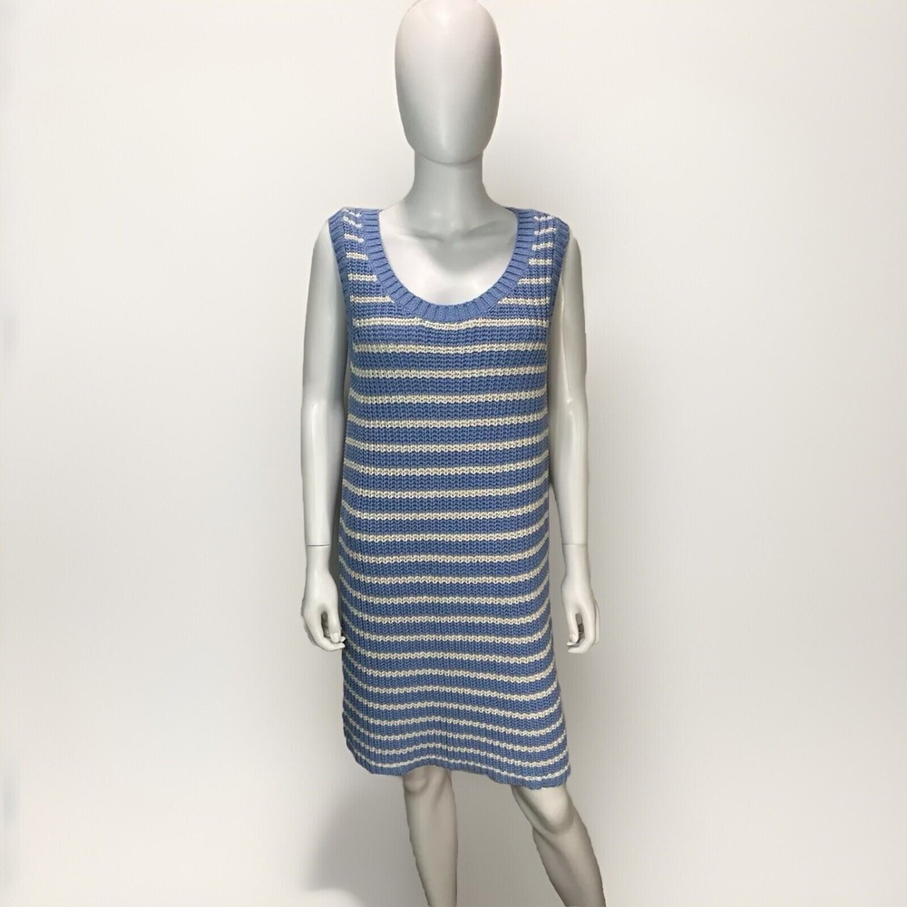 American Eagle Woman Chunky‎ Knit Blue And White Sleeves Dress Size M